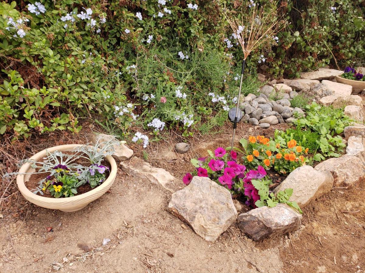 Moonlight Suite Arad צימר אור הירח, ערד ภายนอก รูปภาพ
