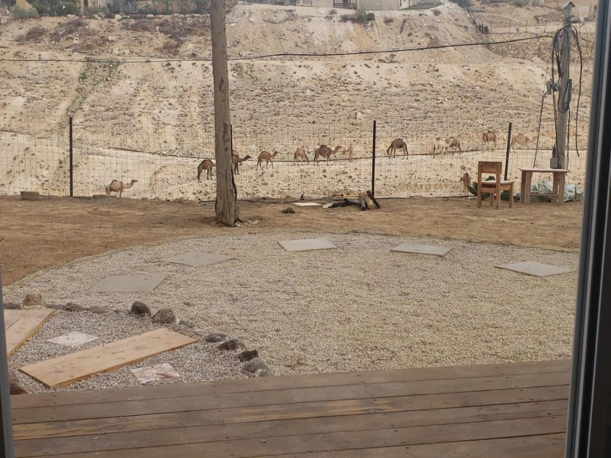 Moonlight Suite Arad צימר אור הירח, ערד ภายนอก รูปภาพ