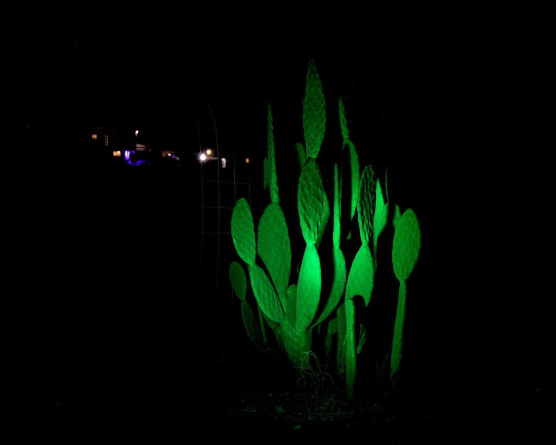 Moonlight Suite Arad צימר אור הירח, ערד ภายนอก รูปภาพ